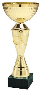 OUT2083.120 Pokal inkl. Emblem u. Beschriftung | 27,5 cm