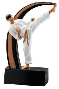 39806 Karate - Taekwondo Pokalfigur inkl. Beschriftung  | 12,0 cm