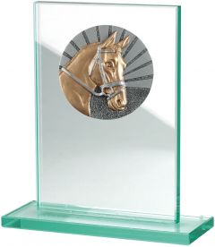 W511.009 Reitsport - Pferde Glastrophäe inkl. Beschriftung | 100x150 mm