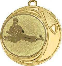 DI7006.371 Taekwondo Medaille 70 mm Ø inkl. Kordel / Band | montiert