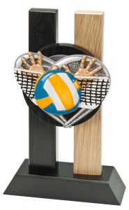 H340.2527 Volleyball Holz-Pokal NRW inkl. Beschriftung | 3 Größen