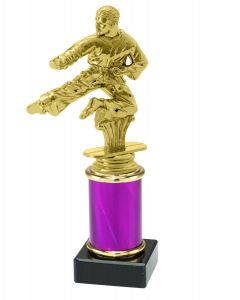 9.154.38235 Karate Pokal Trophäe inkl. Beschriftung | 19,9 cm