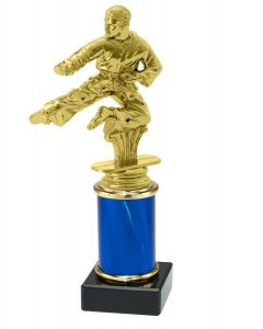 9.09.38235 Karate Pokal Trophäe inkl. Beschriftung | 19,9 cm