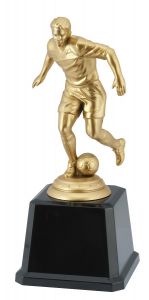 Q663.01 Fussball-Pokal inkl. Beschriftung | 20,0 cm