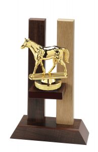 H330.046 Reitsport - Pferde Holz-Pokal Drachten inkl. Beschriftung | 3 Größen