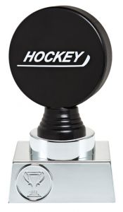 N30.02.508M Eishockey Pokale inkl. Beschriftung | 3 Größen